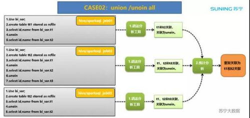 蘇寧數(shù)據(jù)治理三字經(jīng) 夯實(shí)基礎(chǔ)軟件服務(wù)，賦能智能決策